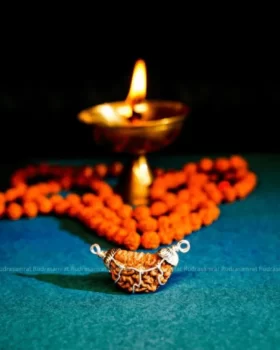 1 Mukhi Rudraksha by Rudrasamrat