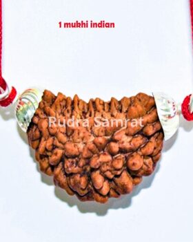 1 Mukhi