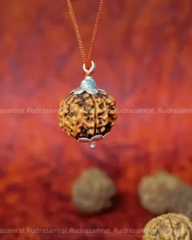 panch mukhi Rudraksha by Rudrasamrat