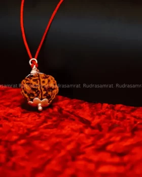 panch mukhi Rudraksha by Rudrasamrat