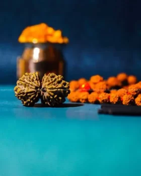 Gauri Shankar Rudraksha by Rudrasamrat