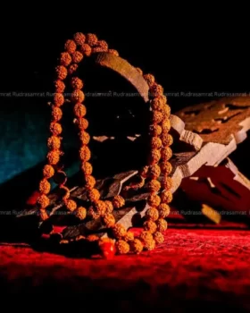 Rudraksha jap mala by Rudrasamrat