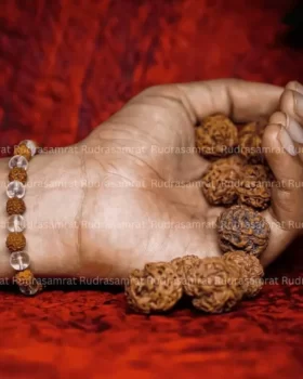 Rudraksha Crystal Bracelet by Rudrasamrat