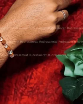 Rudraksha Crystal Bracelet by Rudrasamrat