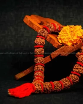 Panchmukhi Rudraksha mala by Rudrasamrat