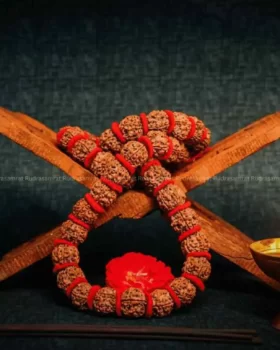 Panchmukhi Rudraksha mala by Rudrasamrat